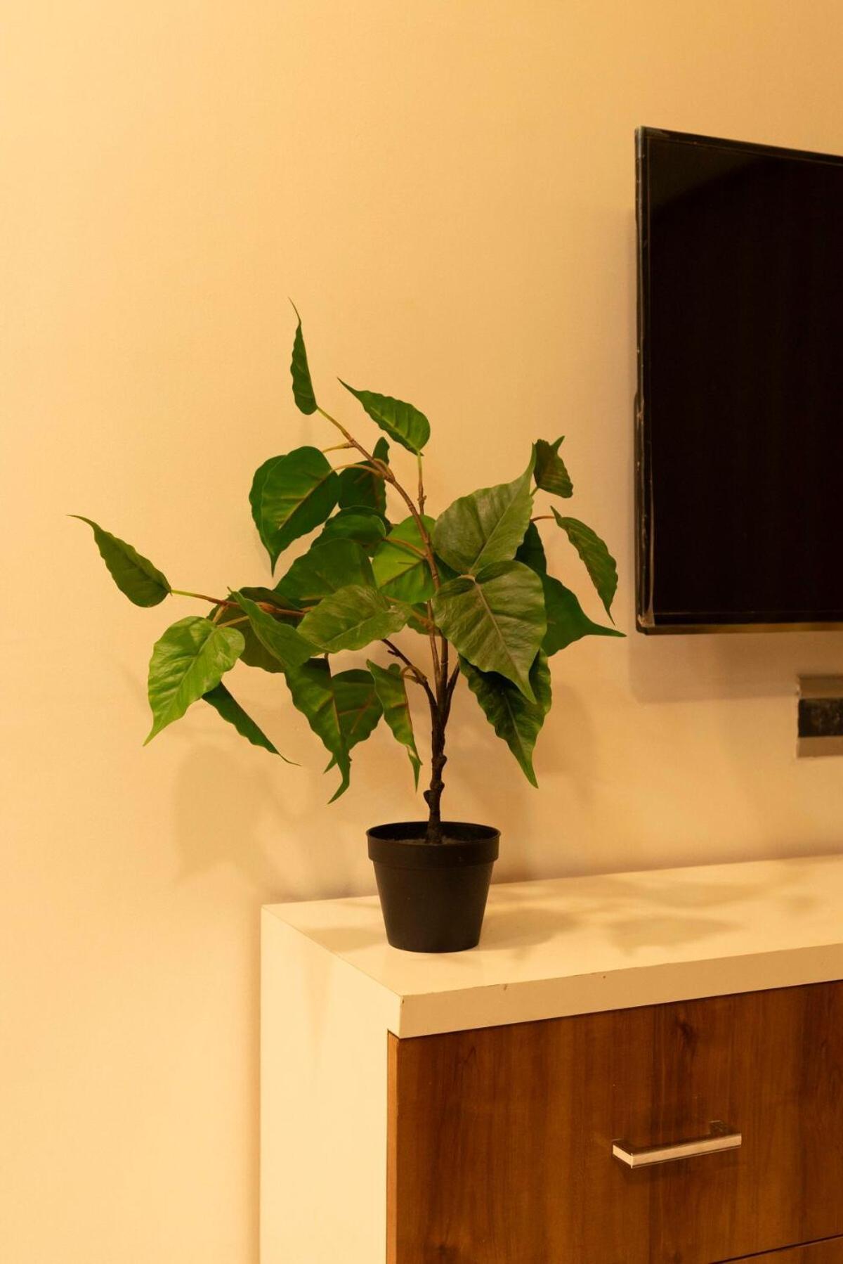 Cozy, Upscale 1 Bhk Near Bkc Apartament Bombaj